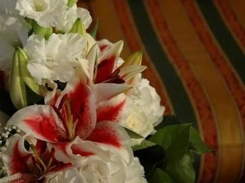 זלצבורג Atel Hotel Lasserhof